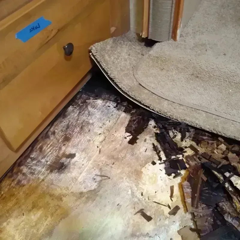 Best Wood Floor Water Damage Service in Medina County, OH